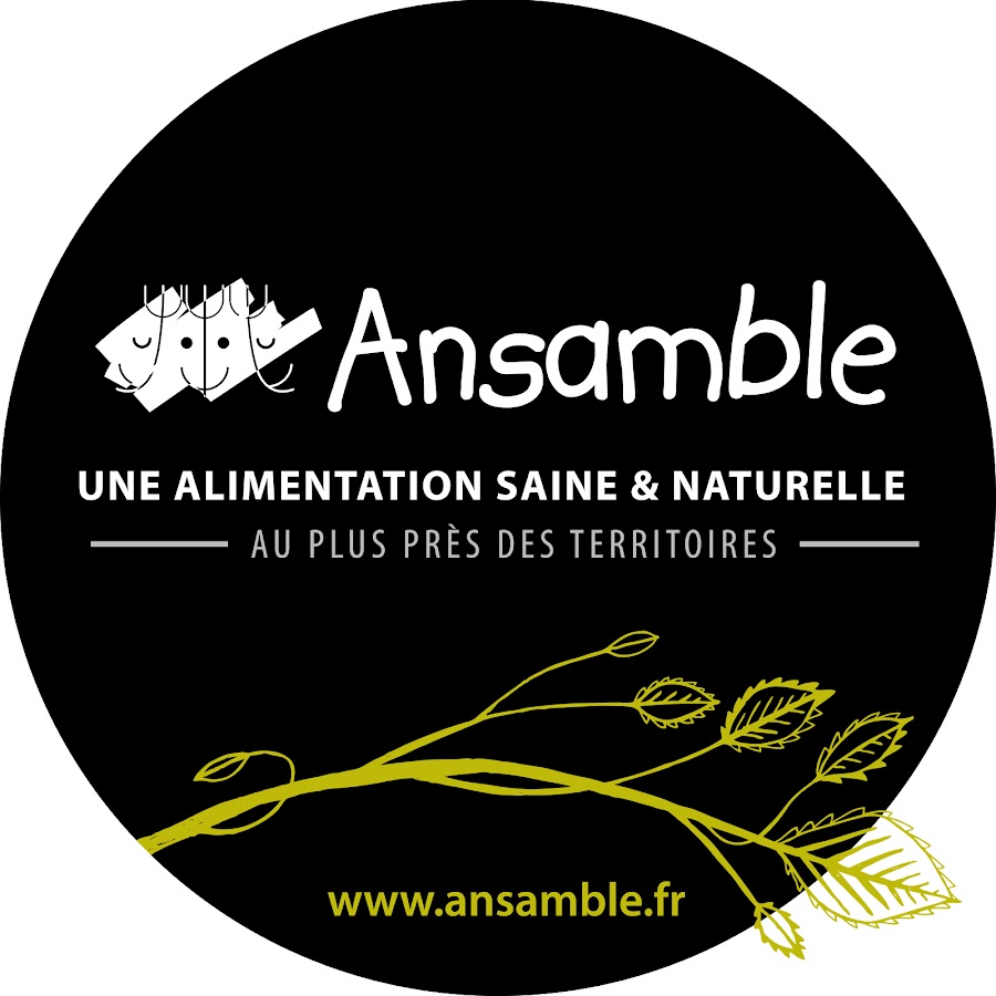 RC-Rapport-de-comite-a-mission-Ansamble